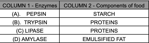 Table showing enzyme names and substrates in Column I and Column II