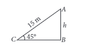 Circus solution i