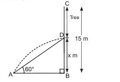 Broken tree diagram