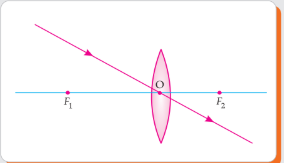 Detailed ray diagram for convex lens with magnification -0.5