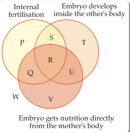 Venn diagram showing reproductive processes regions P to W