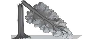 Broken tree diagram