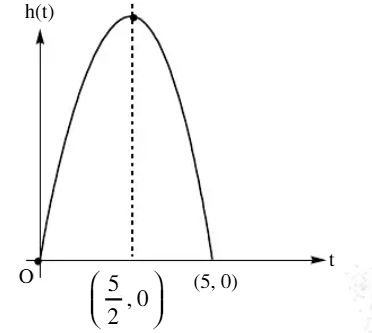 Ball thrown upward trajectory