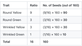 Dihybrid Cross — Seed Shape and Colour in Pea Plants