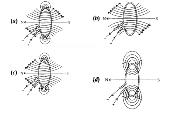 Magnetic field line patterns for a current-carrying circular loop